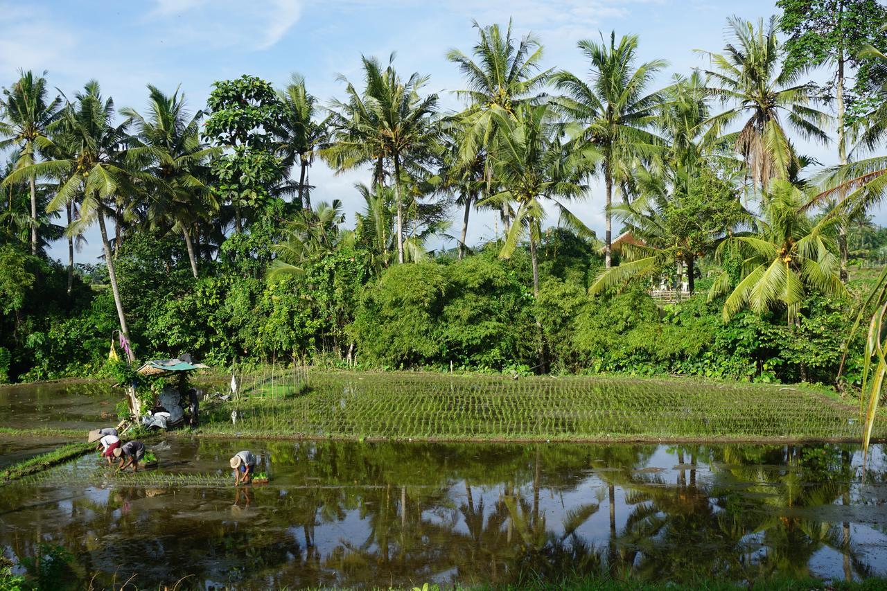 Puri Kobot Hotel Ubud Eksteriør billede